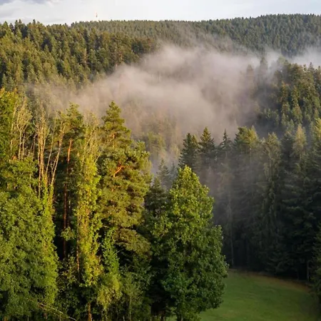 Дом отдыха Gemuetliche Im Schwarzwald Schuttertal