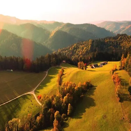 Gemuetliche Im Schwarzwald