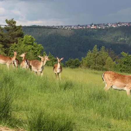 Gemuetliche Im Schwarzwald * Schuttertal