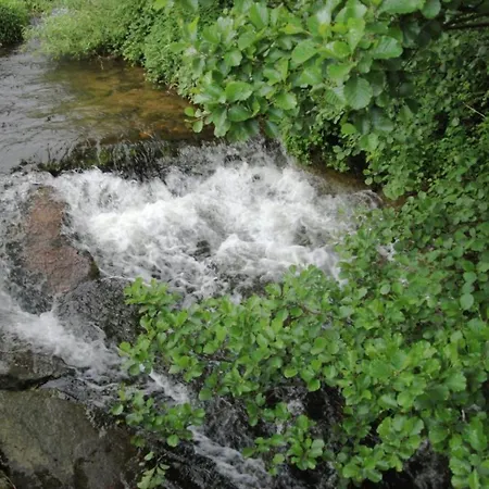 Gemuetliche Im Schwarzwald