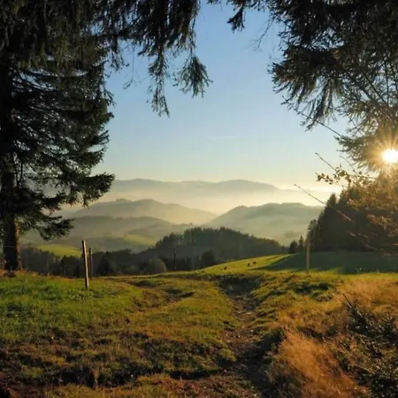 Gemuetliche Im Schwarzwald * Schuttertal