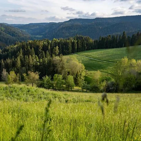 Gemuetliche Im Schwarzwald * Schuttertal