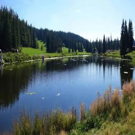 Gemuetliche Im Schwarzwald Дом отдыха *