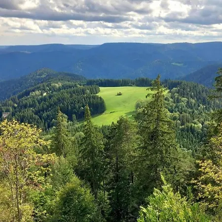 Gemuetliche Im Schwarzwald Semesterbostad Schuttertal