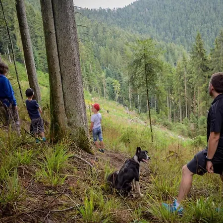 Gemuetliche Im Schwarzwald *