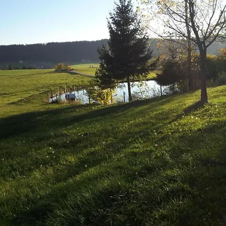 Gemuetliche Im Schwarzwald Schuttertal