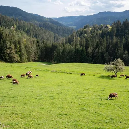Дом отдыха Gemuetliche Im Schwarzwald
