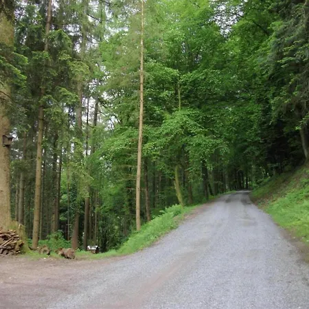 Semesterbostad Gemuetliche Im Schwarzwald *