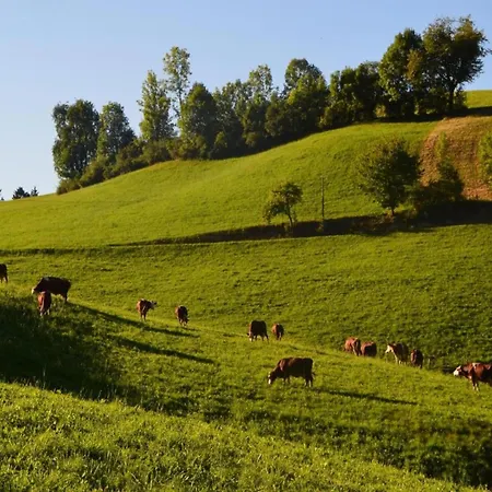Дом отдыха Gemuetliche Im Schwarzwald Schuttertal