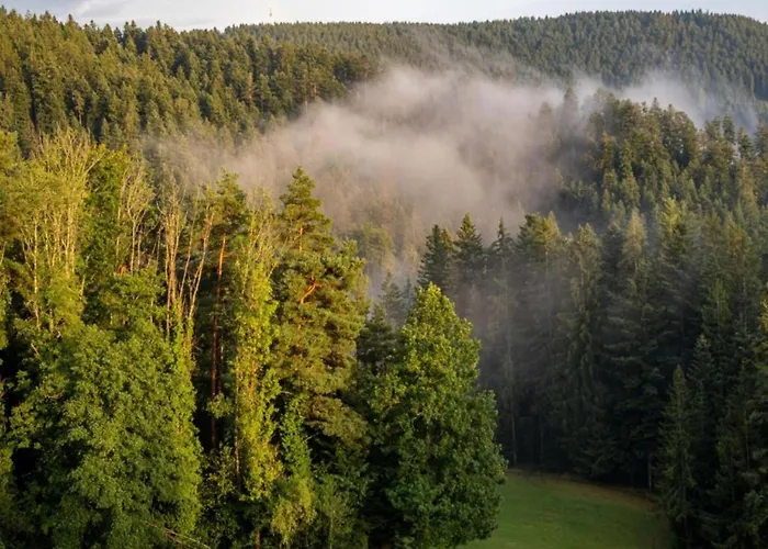 Дом отдыха Gemuetliche Im Schwarzwald Schuttertal