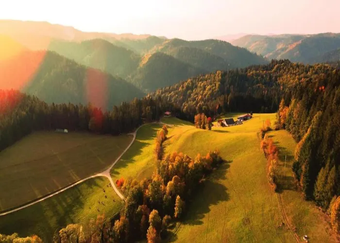 Gemuetliche Im Schwarzwald