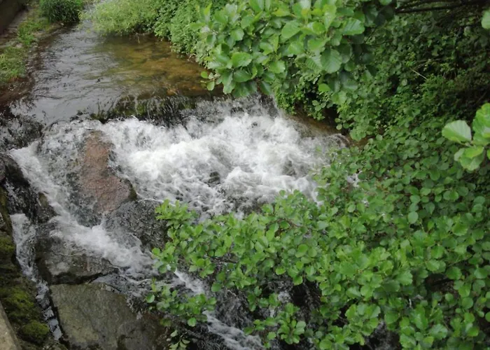Gemuetliche Im Schwarzwald