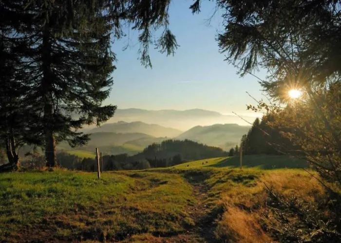 Gemuetliche Im Schwarzwald * Schuttertal