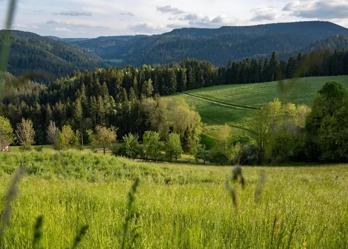 Gemuetliche Im Schwarzwald * Schuttertal