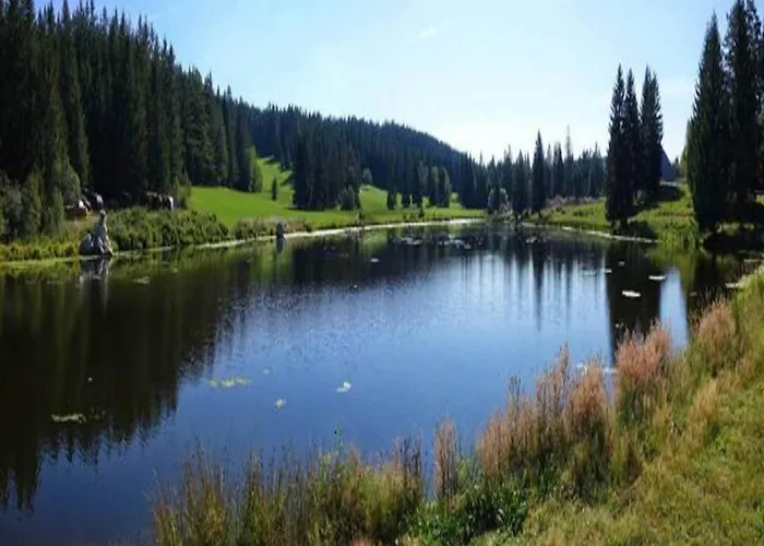 Gemuetliche Im Schwarzwald Дом отдыха *