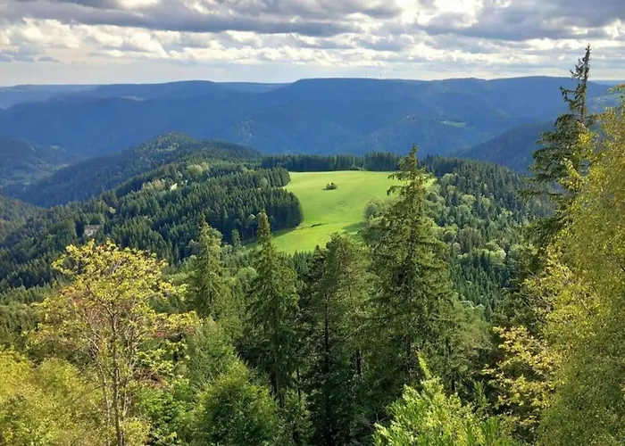 Gemuetliche Im Schwarzwald Casa de Férias Schuttertal