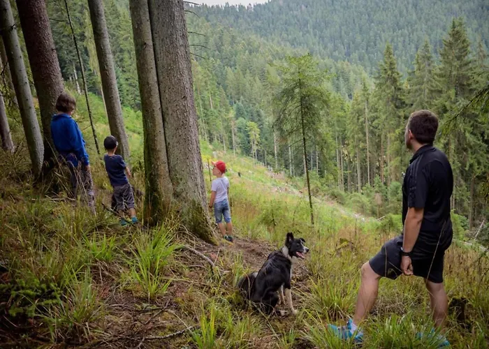 Gemuetliche Im Schwarzwald *