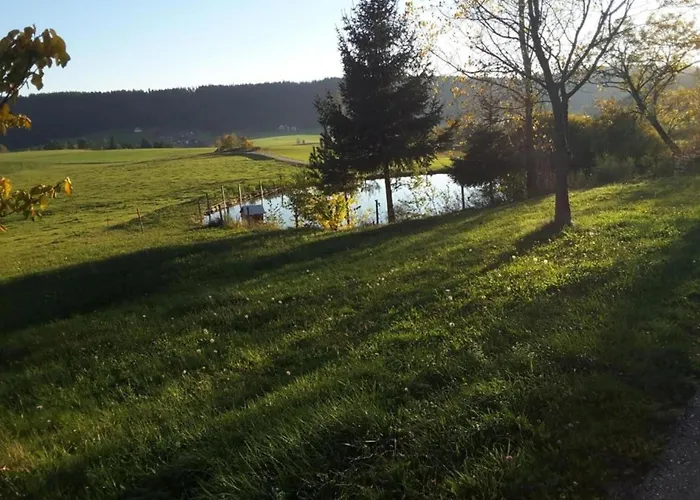 Gemuetliche Im Schwarzwald Schuttertal