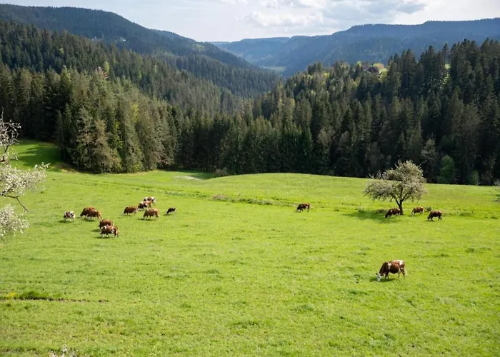Casa de Férias Gemuetliche Im Schwarzwald
