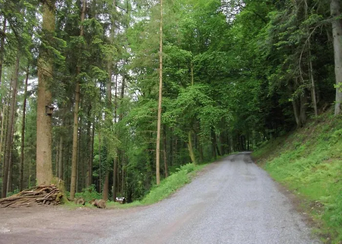Дом отдыха Gemuetliche Im Schwarzwald *