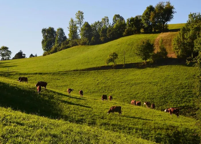 Дом отдыха Gemuetliche Im Schwarzwald Schuttertal